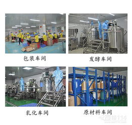 數(shù)據(jù)處理服務 驅(qū)動現(xiàn)代企業(yè)數(shù)字化轉(zhuǎn)型的核心引擎